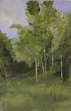 Spring meadow (SOLD)