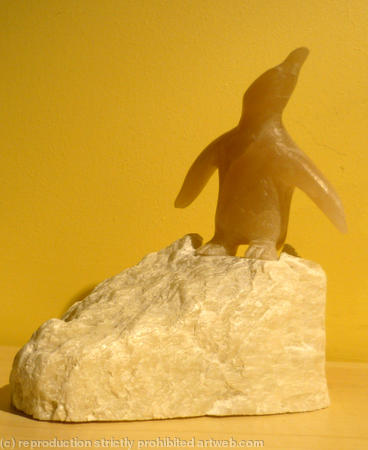 Pingu!