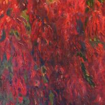 Bouganvillea Sold