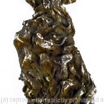 Crushed silk 1/1