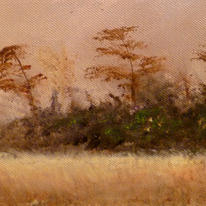 Wind-before-the-harvest