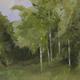 Spring meadow (SOLD)