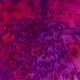 Deep magenta and Blackcurrant…