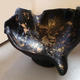Dish of Delight 2