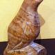Partridge