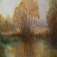 Marshes