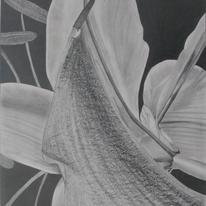 1st Drawing 2nd Bouquet