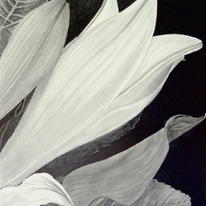 1st Drawing 3rd Bouquet