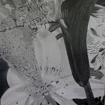 2nd Drawing, 3rd Bouquet