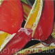 Heliconia