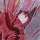 Wallflower