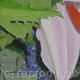 1st Painting 1st Bouquet