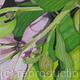 5th Painting 1st Bouquet