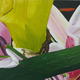 1st Painting 2nd Bouquet