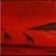 African Sunset