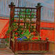 Botanical Study
