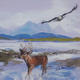 Lonely Deer Wading in…