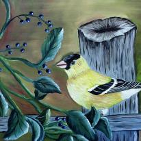 Gold Finch