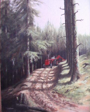 logging