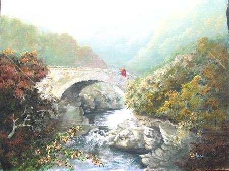 Poachers bridge