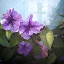 Floral fantasy 2