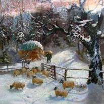 winter feed