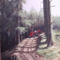 logging
