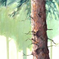 Lonesome pine