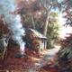 Autumn clearup