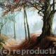Woodland 4