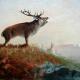 Lord of Bradgate forest