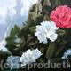floral fantasy 1