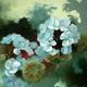 White geraniums