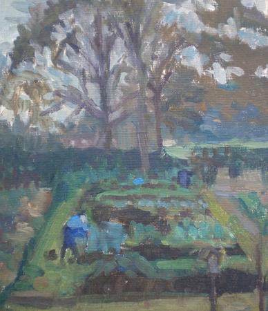 November on the Allotment