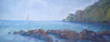 Spring Morning with Gulls, Cawsand