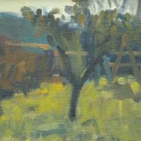 Autumn Garden, Languedoc