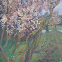 Fading Prunus Blossom