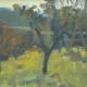 Autumn Garden, Languedoc