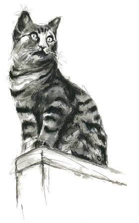  cat on guard