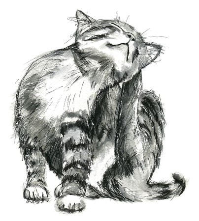 A good scratch