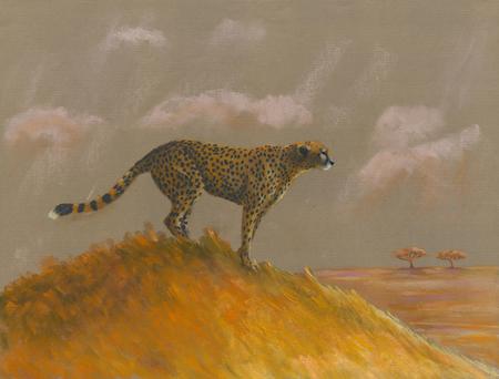 CHEETAH