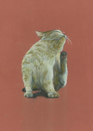 A good scratch - 2