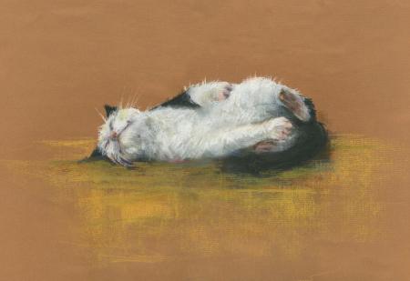 sunbathing