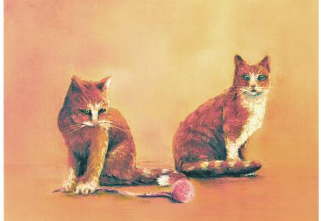 two cats at play