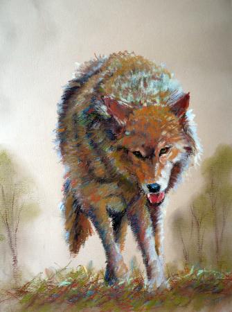 wolf
