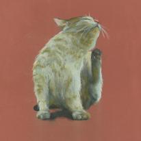 A good scratch - 2