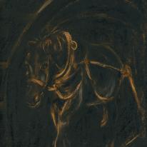 The pit pony