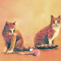 two cats at play