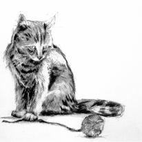 cat-and-ball-of-wool 