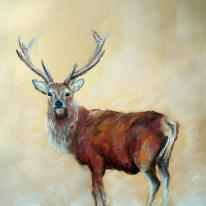 stag